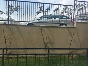 Фото номера Номер-студио с балконом на 1 этаже Апарт-отели Sorrento Sole Mare г. Свети-Влас 9