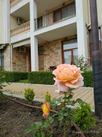 Фото номера Мезонет Апарт-отели MAISONETTES in Royal Bay Residence and SPA г. Свети-Влас 12